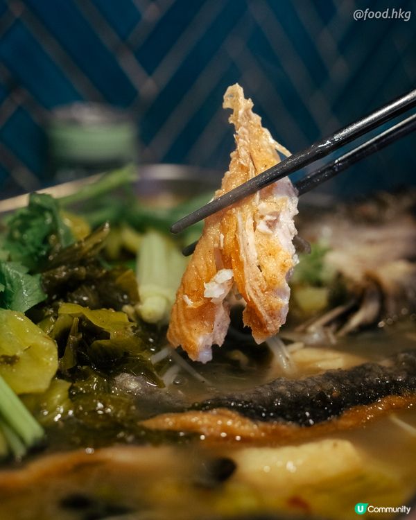 九龍城「$99雞煲烤魚放題」- 台風襲港，食到嘴軟！