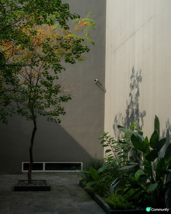 大芬美術館免費任你行🖼️！打卡文化之旅！