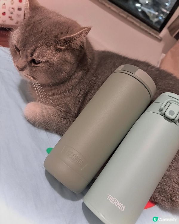 BB出街必備！保溫套裝，暖水隨時有🍼！