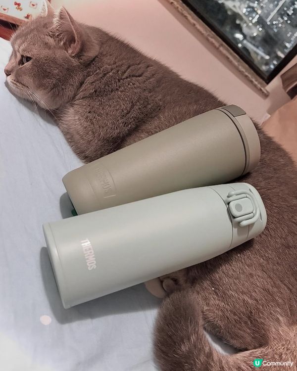 BB出街必備！保溫套裝，暖水隨時有🍼！