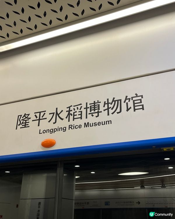 袁隆平爺爺，您嘅願望實現晒！🌾🙏