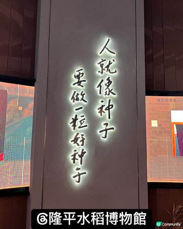 袁隆平爺爺，您嘅願望實現晒！🌾🙏
