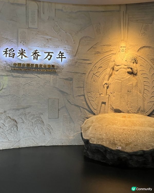袁隆平爺爺，您嘅願望實現晒！🌾🙏