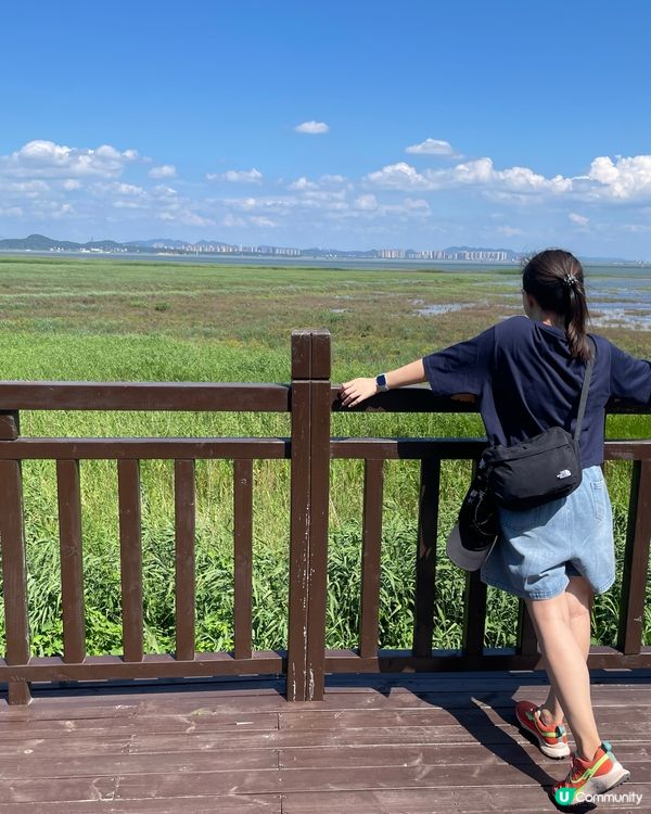 1.  君山島一日遊！洞庭湖🌊，好靚呀😍！ #長沙 #洞庭湖