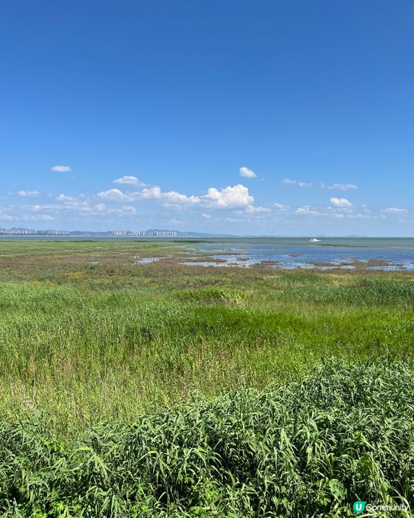 1.  君山島一日遊！洞庭湖🌊，好靚呀😍！ #長沙 #洞庭湖