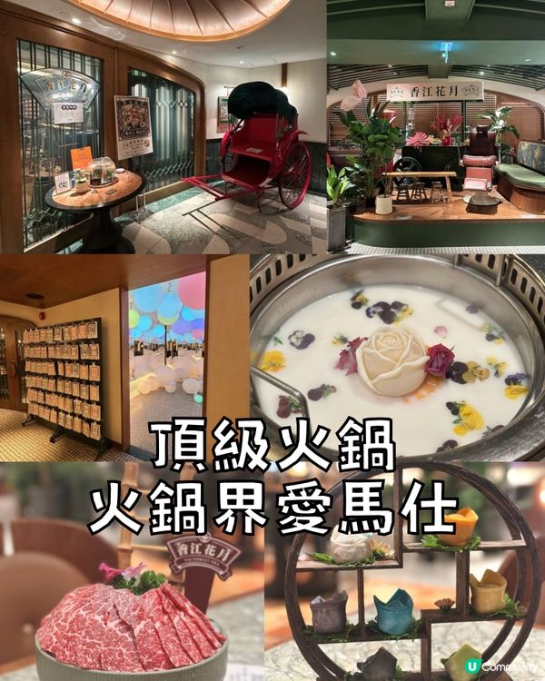 頂級火鍋！火鍋界愛馬仕！