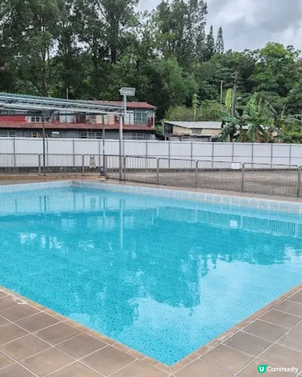 香港犬隻工作及障礙賽事會