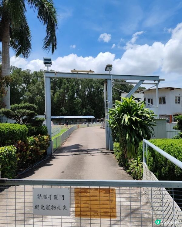 香港犬隻工作及障礙賽事會