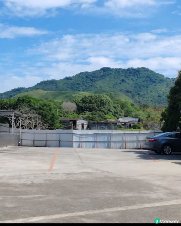 香港犬隻工作及障礙賽事會