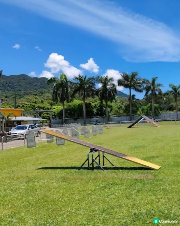 香港犬隻工作及障礙賽事會