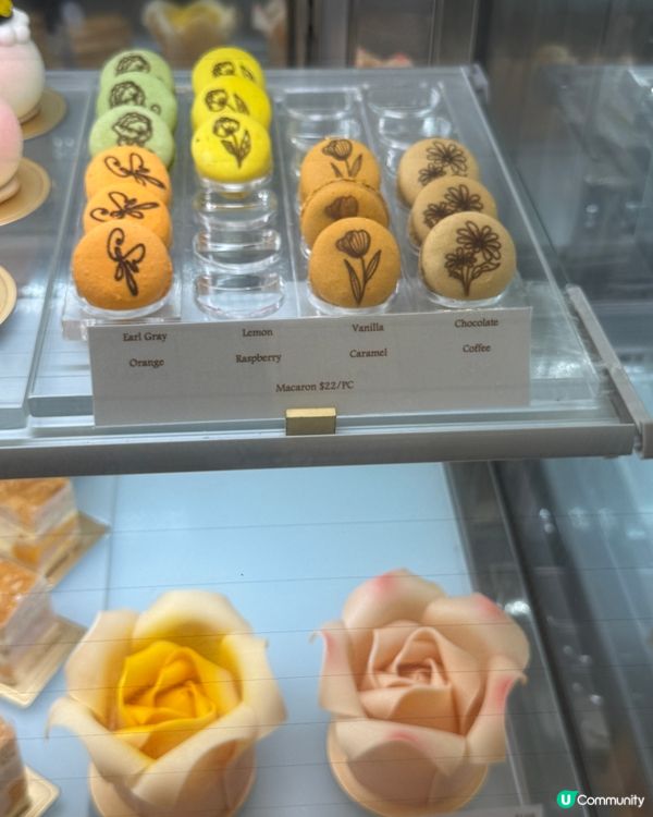 九龍城人氣蛋糕店