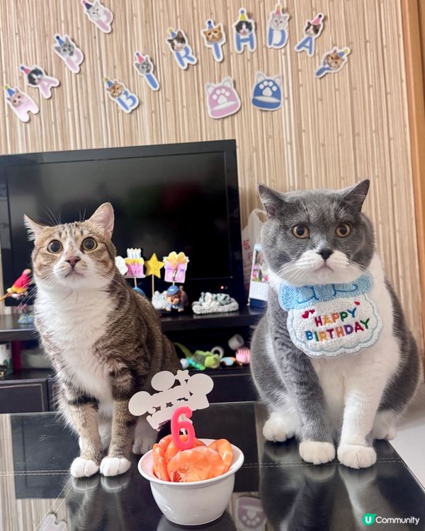 💓你可以只過生日 不用長大💓