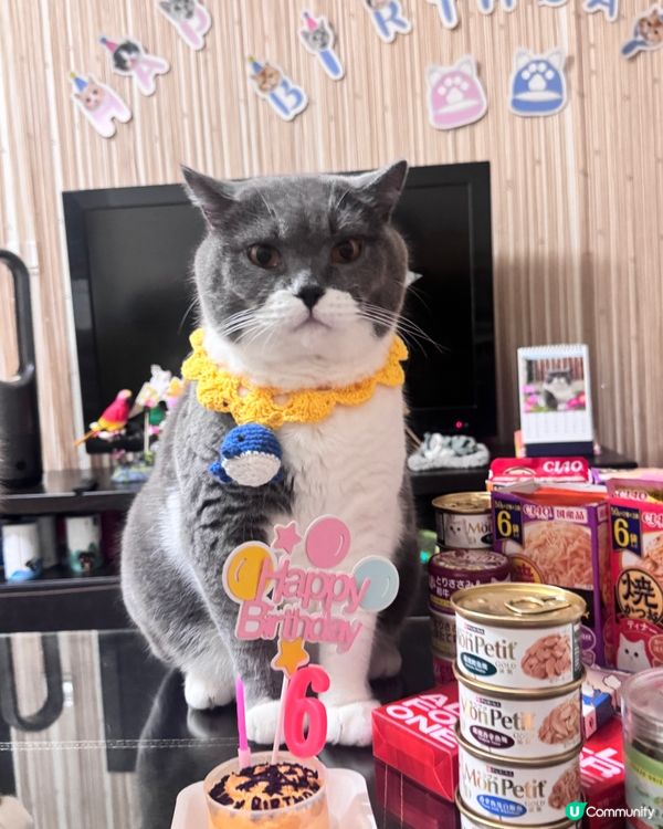 💓你可以只過生日 不用長大💓