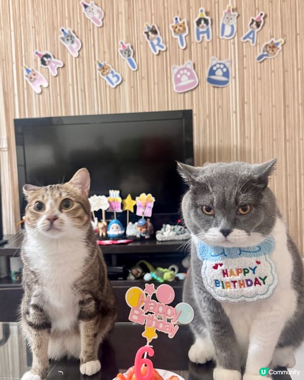 💓你可以只過生日 不用長大💓