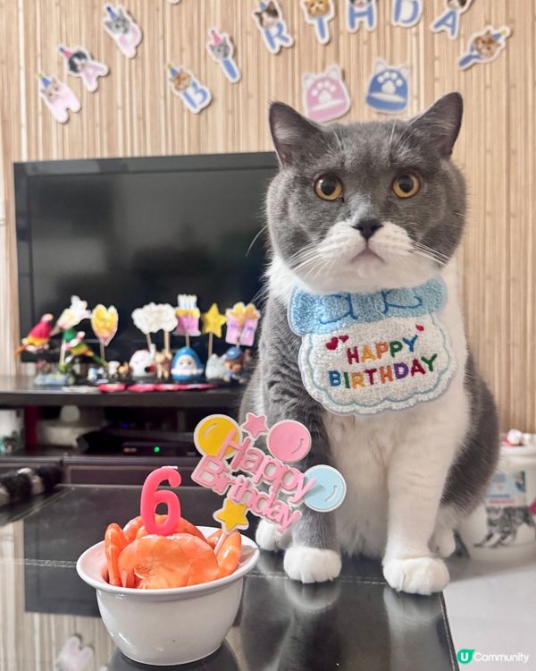 💓你可以只過生日 不用長大💓