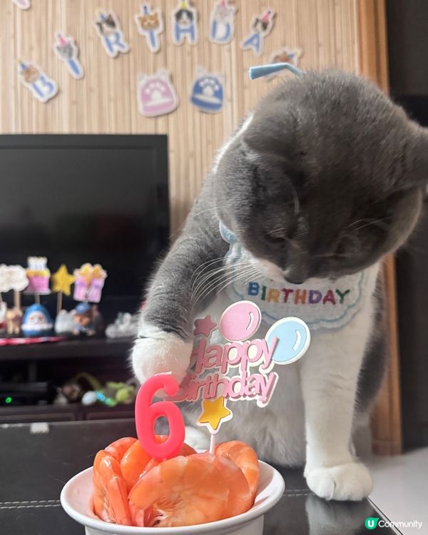 💓你可以只過生日 不用長大💓