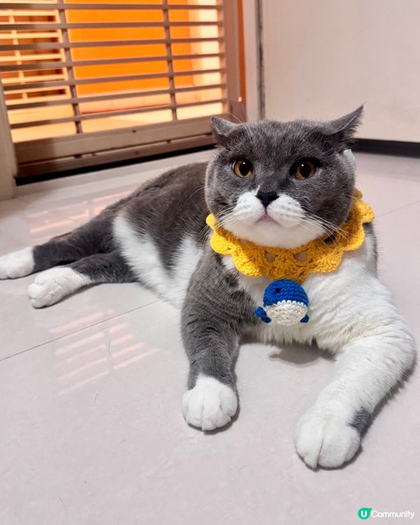 💓你可以只過生日 不用長大💓