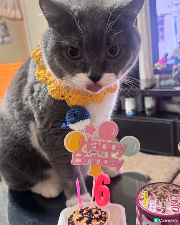 💓你可以只過生日 不用長大💓