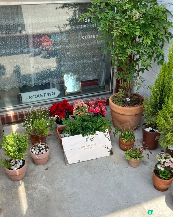 🇰🇷☕仁川松島連續8年獲藍絲帶肯定✨ 高質專業咖啡店