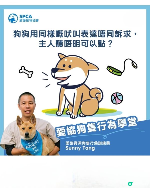 spcahk 狗隻行為訓練班