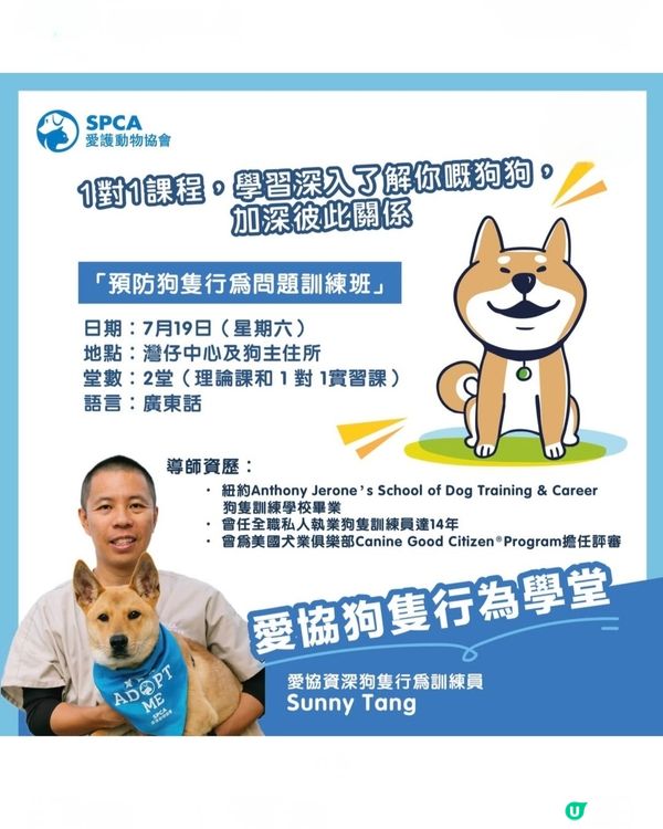 spcahk 狗隻行為訓練班
