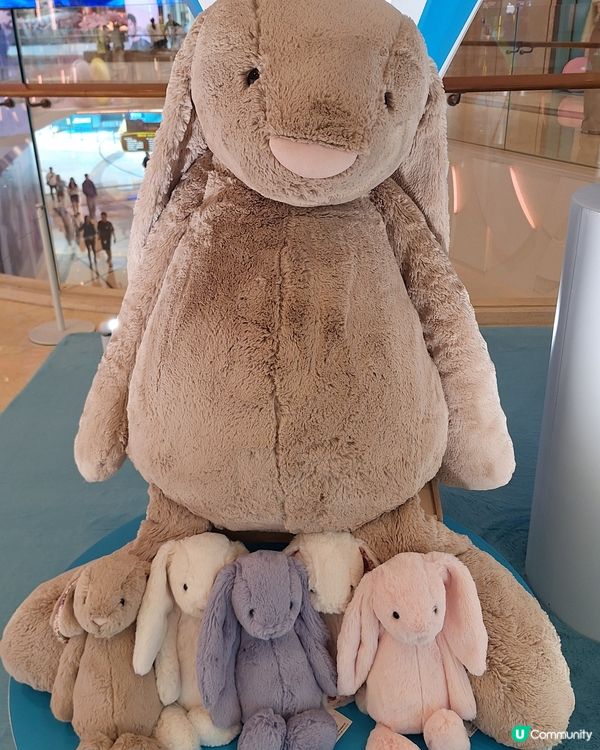 #chill賞童您玩 #chill賞去水上樂園 #踏入koo...