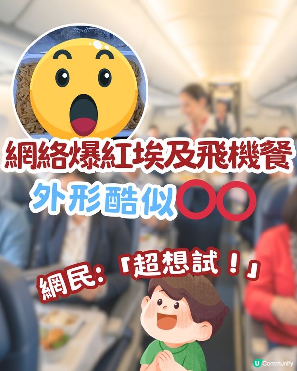 網絡爆紅埃及飛機餐✈️外形酷似⭕⭕網民:「超想試！」