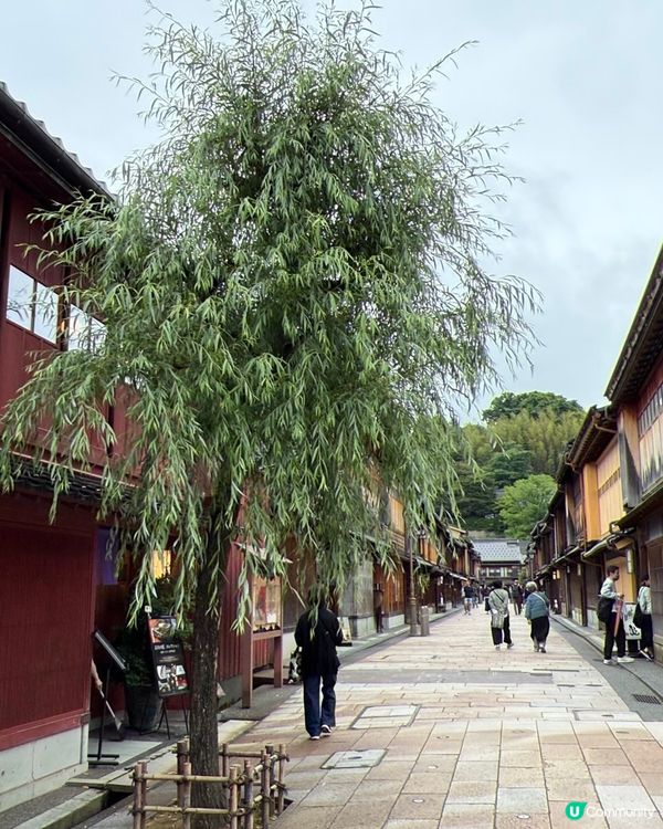 金澤之旅🤩！東茶屋街👘+金澤車站🚄！