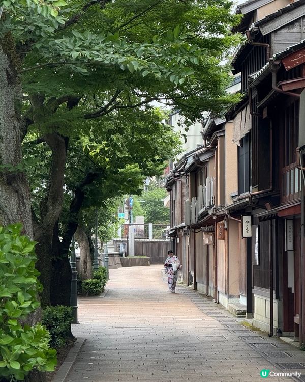 金澤之旅🤩！東茶屋街👘+金澤車站🚄！