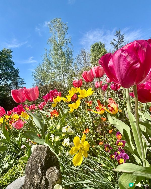 《向大自然最沉默的建築師致敬》 🫡