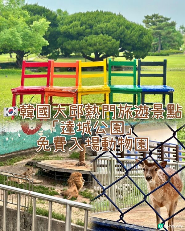 🇰🇷韓國大邱免費親子景點‼️達城公園｜罕見雀鳥＋獅子馬騮任你睇‼️