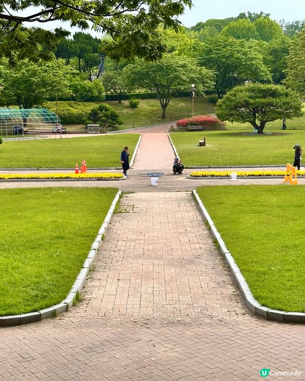 🇰🇷韓國大邱免費親子景點‼️達城公園｜罕見雀鳥＋獅子馬騮任你睇‼️