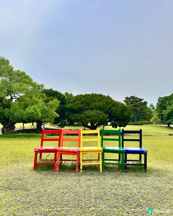 🇰🇷韓國大邱免費親子景點‼️達城公園｜罕見雀鳥＋獅子馬騮任你睇‼️