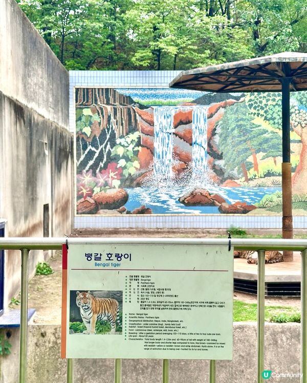 🇰🇷韓國大邱免費親子景點‼️達城公園｜罕見雀鳥＋獅子馬騮任你睇‼️