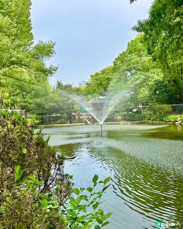 🇰🇷韓國大邱免費親子景點‼️達城公園｜罕見雀鳥＋獅子馬騮任你睇‼️