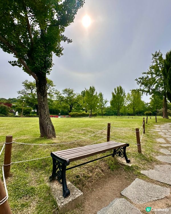 🇰🇷韓國大邱免費親子景點‼️達城公園｜罕見雀鳥＋獅子馬騮任你睇‼️
