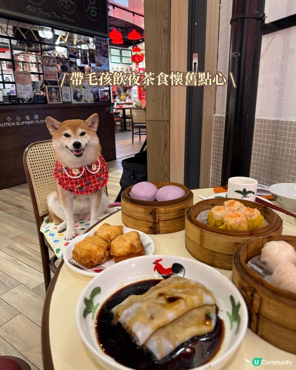 / 帶毛孩飲夜茶食懷舊點心 \