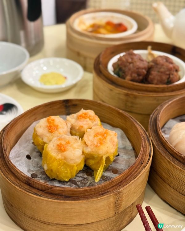 / 帶毛孩飲夜茶食懷舊點心 \