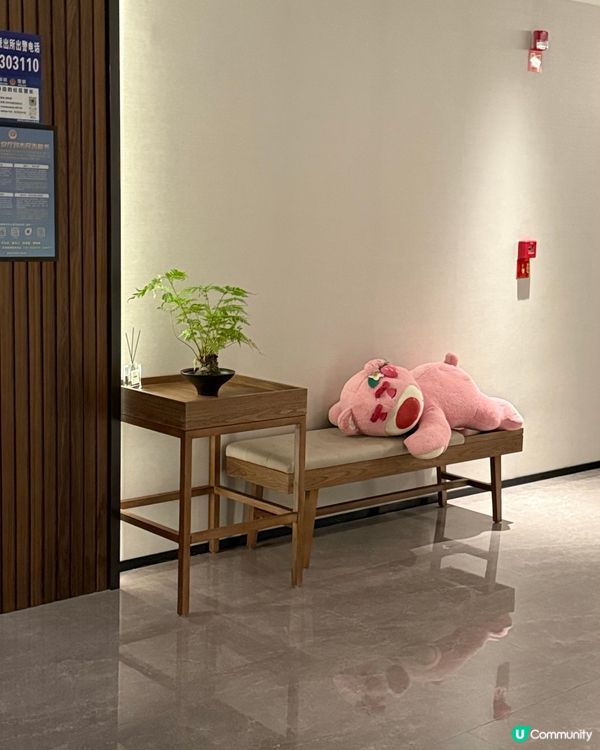 深圳福田逸扉酒店🤩！交通超方便！🥳