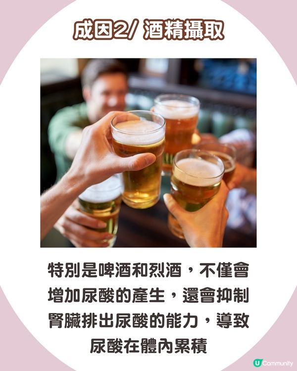 痛風全攻略：了解尿酸過高根源💢 5大痛風成因、症狀與預防