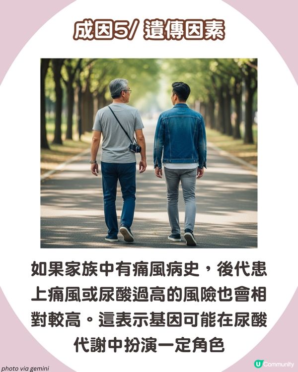 痛風全攻略：了解尿酸過高根源💢 5大痛風成因、症狀與預防