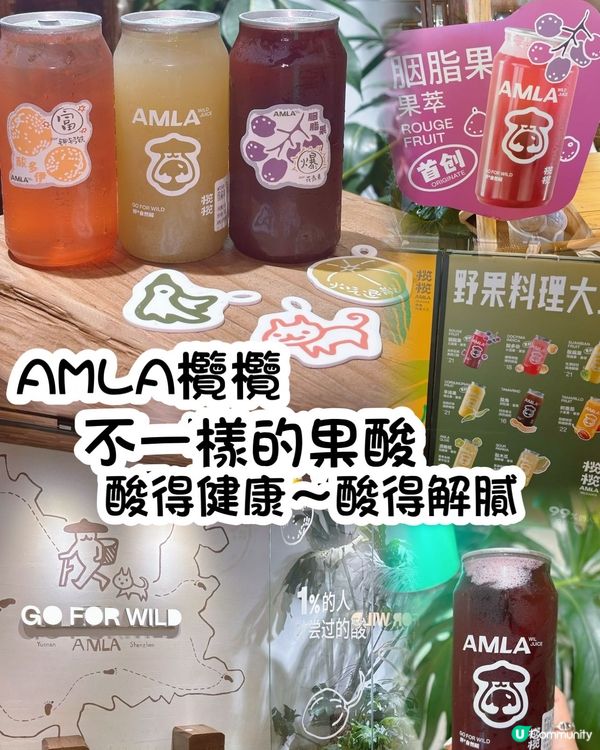 欖欖野果特飲！酸爽解膩😋 獨家口味等你嚟！