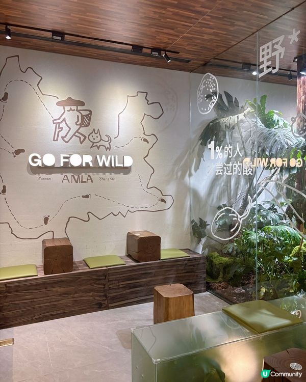 欖欖野果特飲！酸爽解膩😋 獨家口味等你嚟！