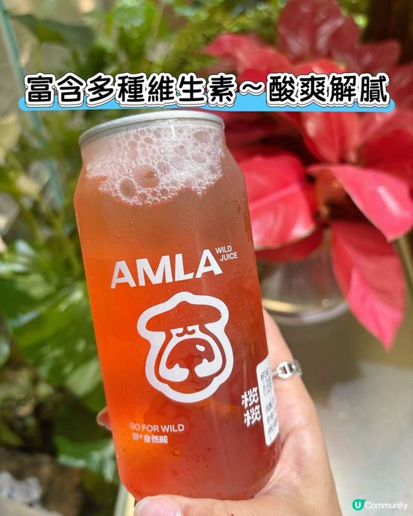欖欖野果特飲！酸爽解膩😋 獨家口味等你嚟！