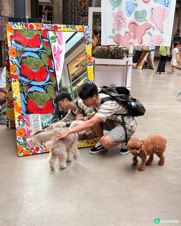 Marimekko展覽估唔到咁多狗狗🐶滿場走＆影相📸😆