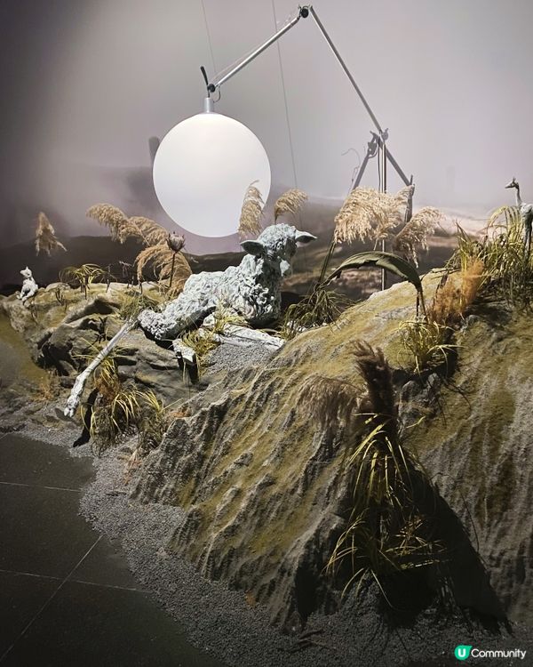 澳門玩厭？呢個博物館你去過未？🧚🏻‍♂️🏛️