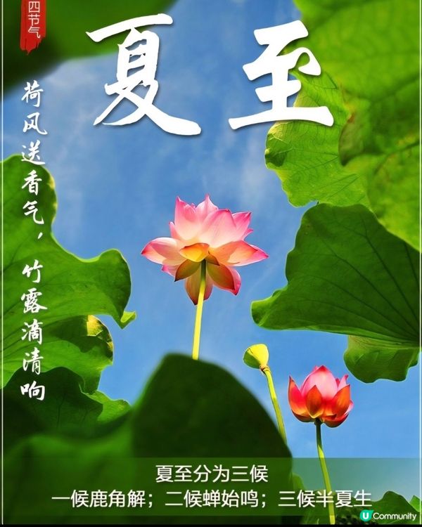 廿四節氣夏至