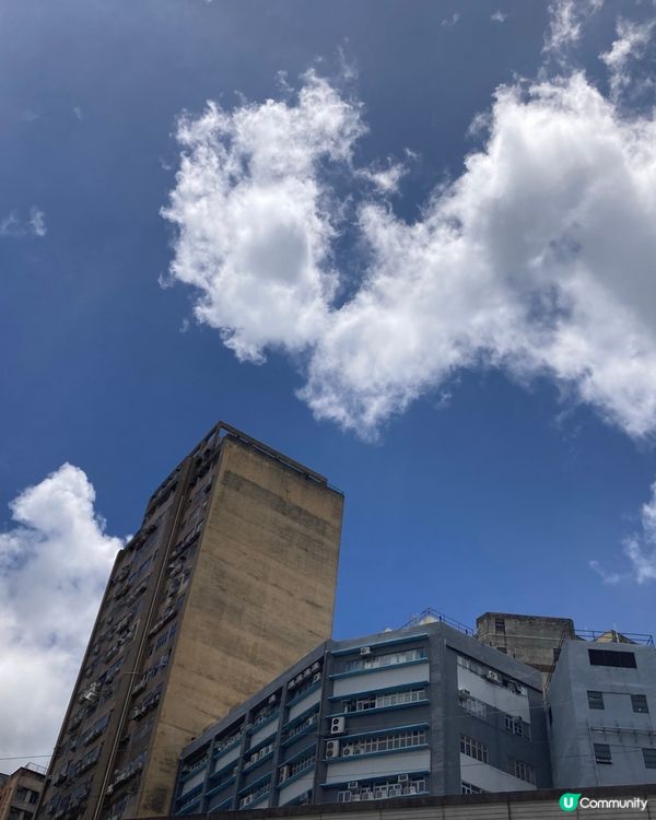 錦上路寫意的日子