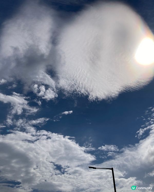 錦上路寫意的日子