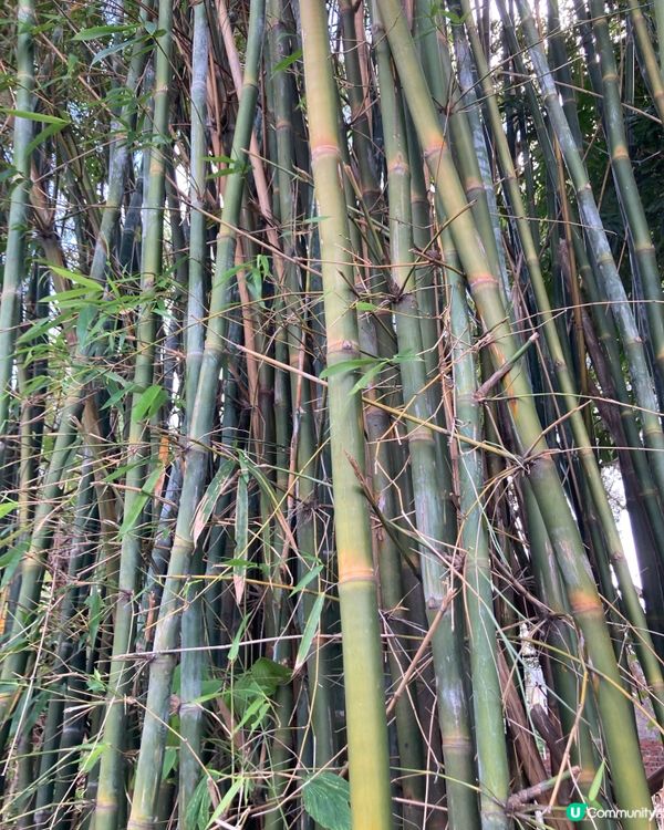 錦上路寫意的日子